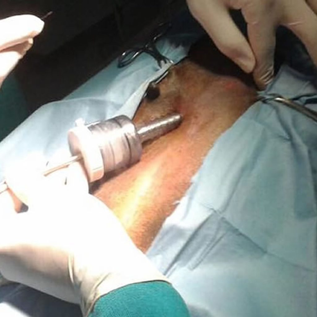 Chirurgia mini invasiva